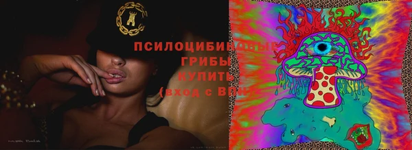 хмурый Михайловка
