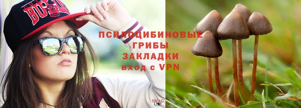 гашик Майский