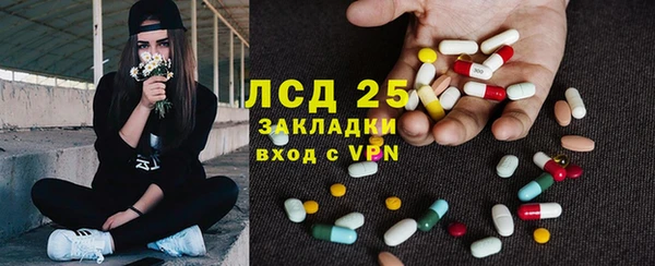 гашик Майский